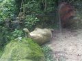 IMGP0874.JPG